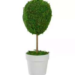 Reindeer Moss Ball Topiary in White Pot