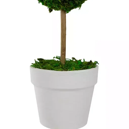 Reindeer Moss Ball Topiary in White Pot