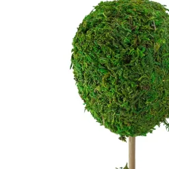 Reindeer Moss Ball Topiary in White Pot