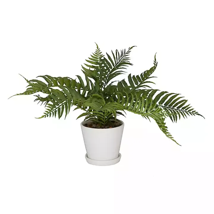 River Rock Fern in Ribbed White Planter