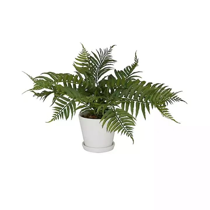 River Rock Fern in Ribbed White Planter