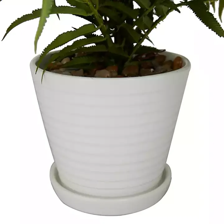 River Rock Fern in Ribbed White Planter