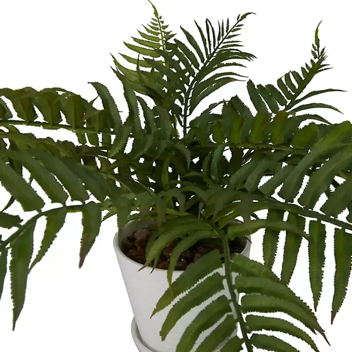 River Rock Fern in Ribbed White Planter