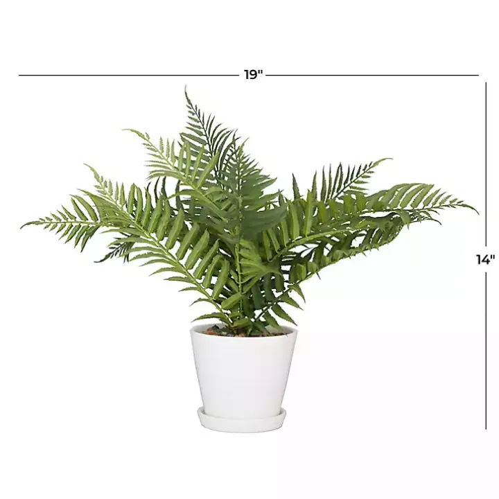 River Rock Fern in Ribbed White Planter