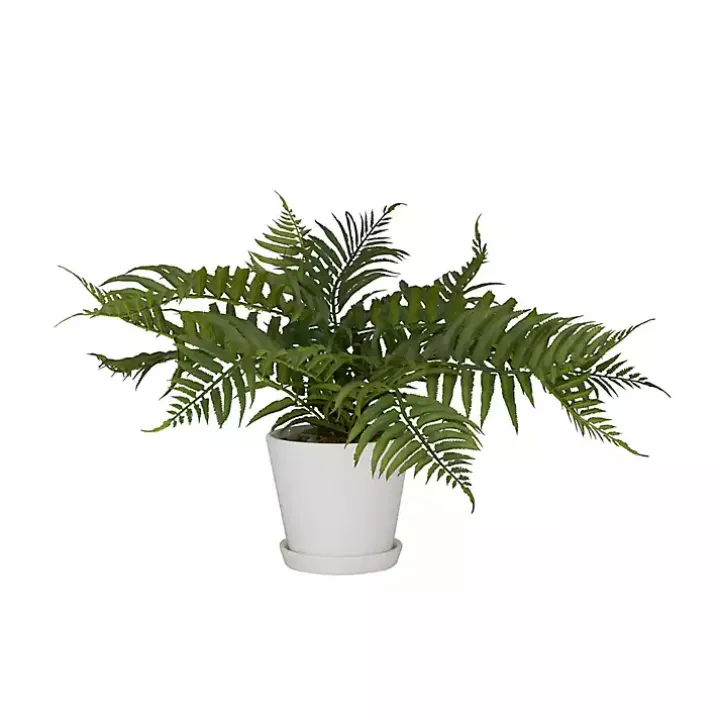 River Rock Fern in Ribbed White Planter