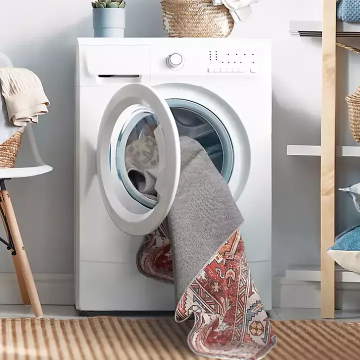 Sasha Medallion Washable Area Rug, 4x6