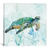 Sea Turtle Swim I Canvas Art Print