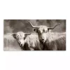 Sepia Hairy Highland Canvas Art Print