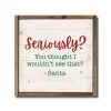 Seriously See That Christmas Wall Plaque