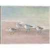 Shorebirds on the Sand Framed Canvas Art Print