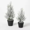 Snowy Potted Mini Pine Trees, Set of 2