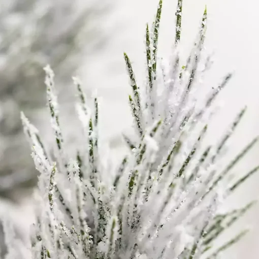 Snowy Potted Mini Pine Trees, Set of 2