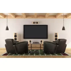 South Carolina Homefield Area Rug, 6x8