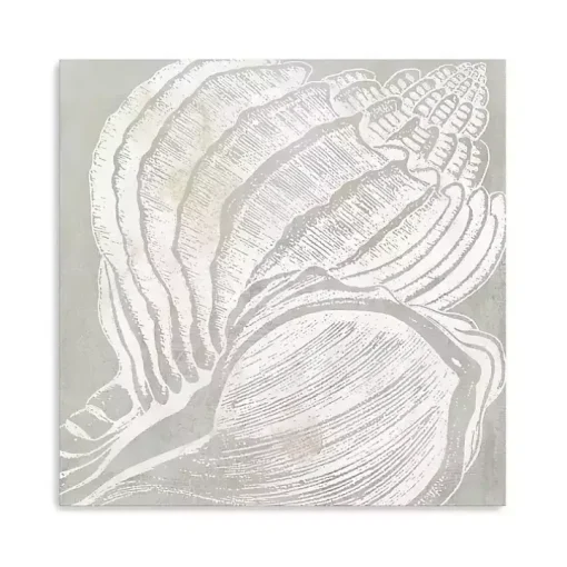 Spiral Seashell Close Up Canvas Art Print