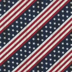 Stars & Stripes Tufted Outdoor Cushions, Set of 2