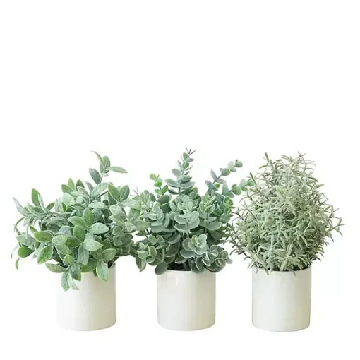 Succulent Arrangements in Ceramic Pots, Set of 3