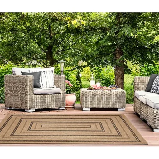 Tan and Black Framed Indoor/Outdoor Area Rug, 5x7
