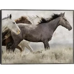 Thunder Ridge Distressed Framed Canvas Art Print
