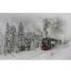 Train in Winter Woods LED Canvas Art Print