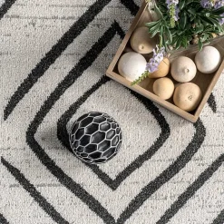 Transitional Moroccan Washable Area Rug, 4x6