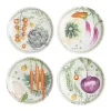 Vegetable Garden Salad Plates, Set of 4