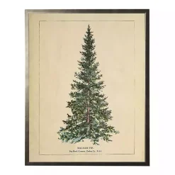 Vintage Balsam Tree Framed Art Print
