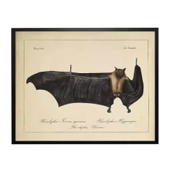 Vintage Black Bat Halloween Wall Plaque