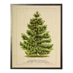 Vintage Pine Tree Framed Art Print