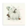 White Pumpkin Canvas Art Print, 20x20 in.