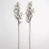 White Shell Leaf Stem