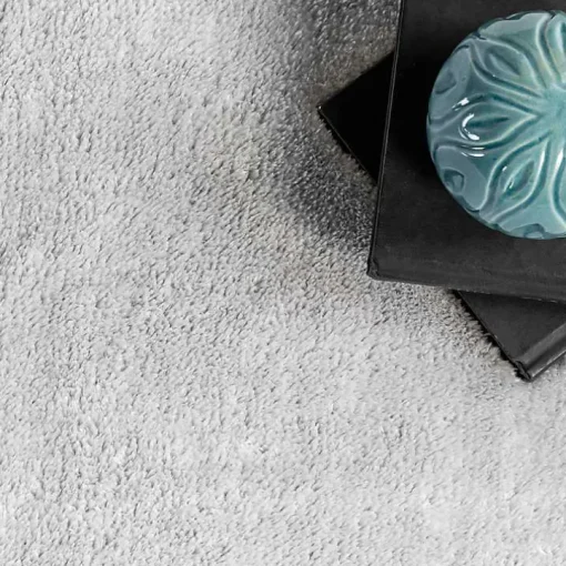 Whitlow Silver Shag Washable Area Rug, 6x9