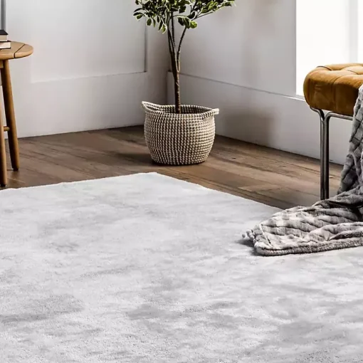 Whitlow Silver Shag Washable Area Rug, 6x9