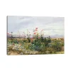 Wildflower With a View Canvas Art Print