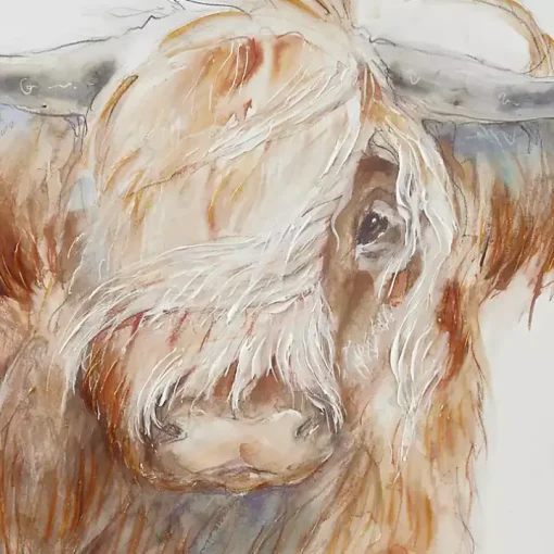 Windswept Highland Bull Canvas Art Print