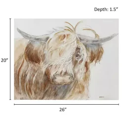 Windswept Highland Bull Canvas Art Print