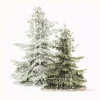 Winter Trees Gray Framed Canvas Art Print