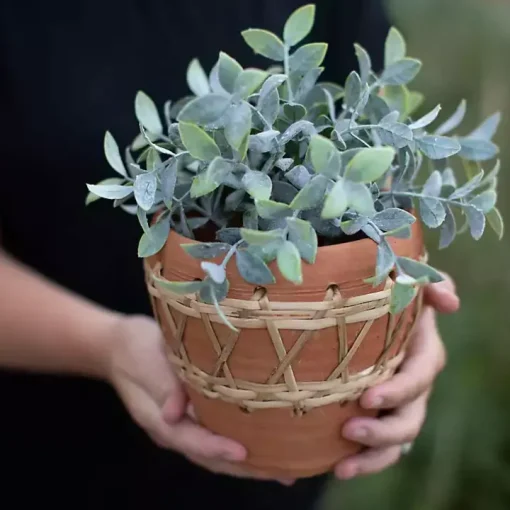 Woven Diamond Terracotta Planter