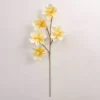 Yellow Japanese Magnolia Foam Spray