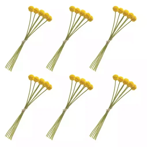 Yellow Pod Sprays, Set of 6