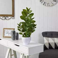 Zamioculcas Plant in Chic White Planter