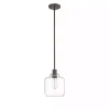 Asheville Bronze Glass Globe Pendant Light