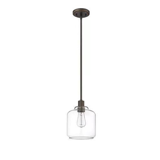 Asheville Bronze Glass Globe Pendant Light