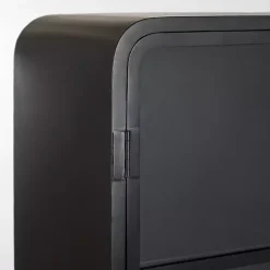 Black Metal & Glass 2-Door Bentley Cabinet
