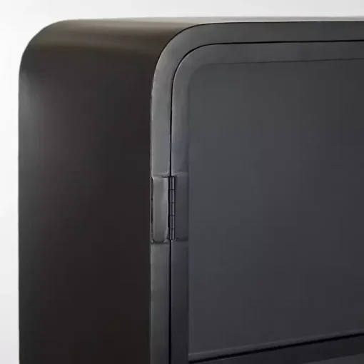 Black Metal & Glass 2-Door Bentley Cabinet