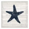 Blue Starfish Driftwood Canvas Art Print