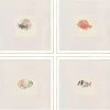 Coastal Medley Framed Art Prints, Set of 4