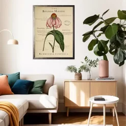 Coneflower Botanical Magazine Framed Art Print