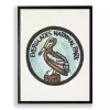 Everglades Pelican Framed Art Print