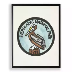 Everglades Pelican Framed Art Print