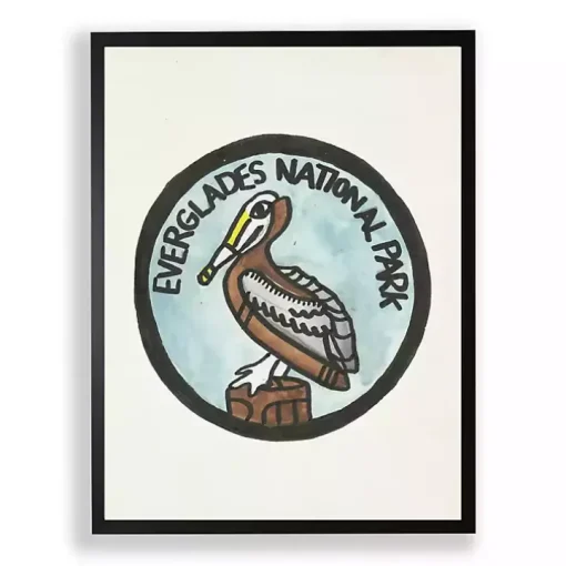 Everglades Pelican Framed Art Print